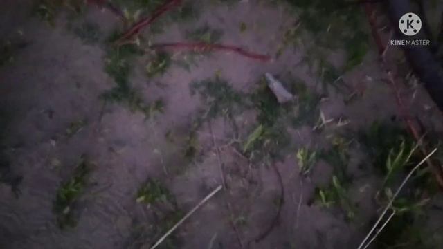 Еду на Капчагай! (Влог) смотреть онлайн