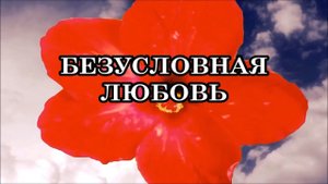 БЕЗУСЛОВНАЯ ЛЮБОВЬ. ЧТО ЗНАЧИТ ЛЮБИТЬ БЕЗУСЛОВНО?