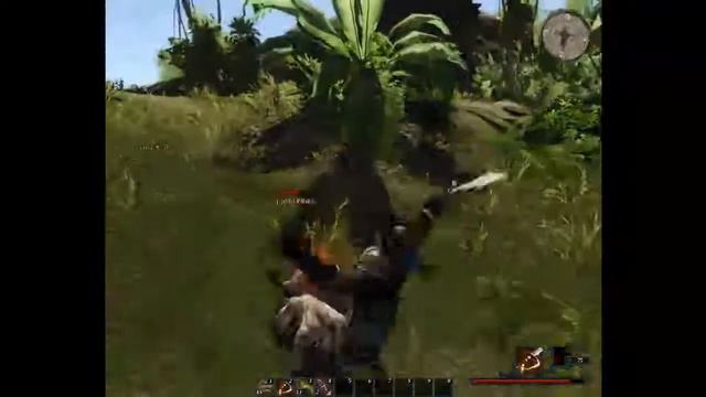 Gameplay Risen 2 Dark Waters смотреть онлайн