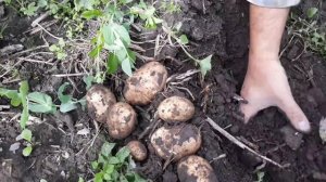 Готовлюсь к торговле. ТОРГОВЛЯ НА ТРАССЕ!!! Итоги.