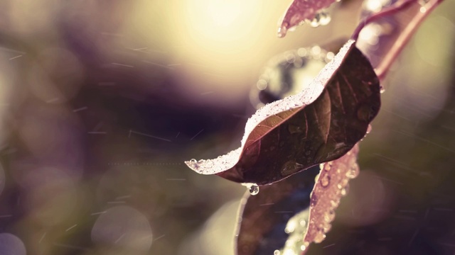 Slideshow with beautiful music (Logos - Ocean d'Etoiles) (HD)