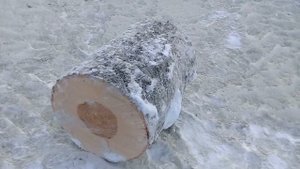 Кузница. Установка наковальни.