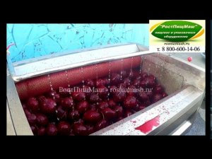 Обзор чистки свеклы ЖЕСТКИМИ щетками на GB-1000 от РостПищМаш