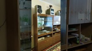 Блютуз аудио адаптер