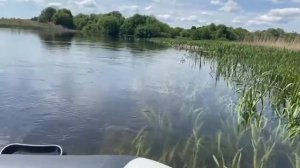 Сплав по р.Судость Брянская обл. из г.Почепа до г.Погара