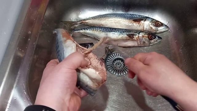 Рецепт Скумбрии пряного посола