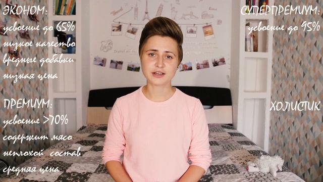 Как выбрать корм для собаки? Какой сухой корм лучше? Классификация сухих кормов: состав, марки, цен