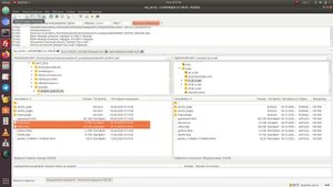 #107.  Как добавить favicon на html сайт