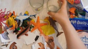 Конкурсы на детский день рождения в морском стиле. Морской день рождения.