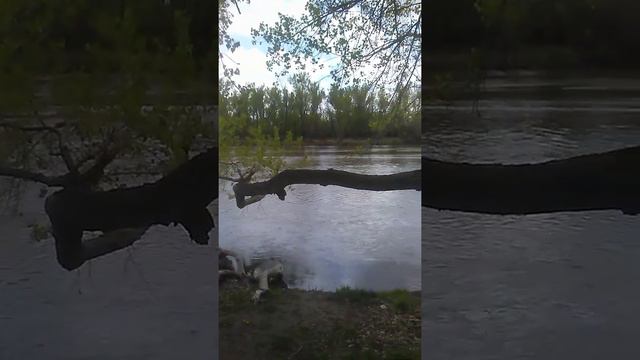 Unsettling River Video I