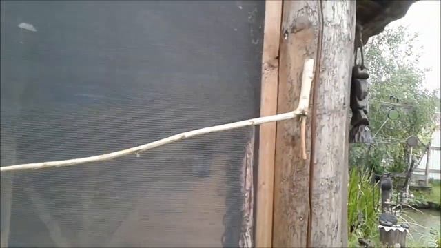 Природные барометры