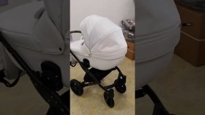 Коляска 2в1 и 3в1 INDIGO MIO