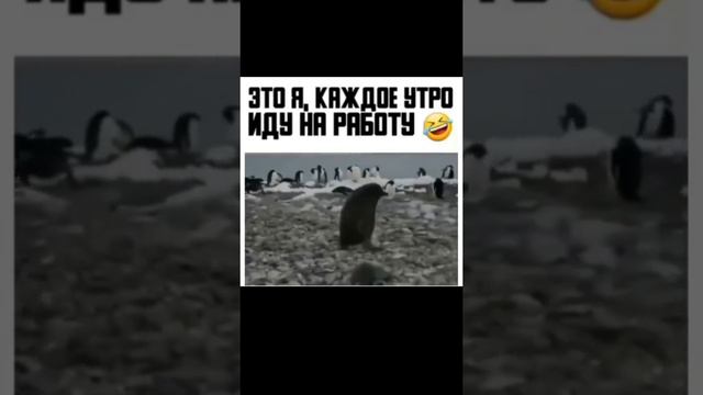 Это я иду на работу