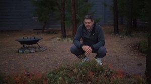 Идеи ландшафтного дизайна для вашего участка