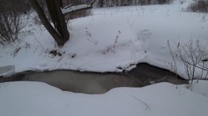 Зимняя прогулка в Перми, нашли хижину, снегири, речка Ива, белочки. 28 янв.2022