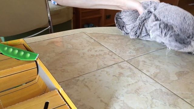 Сказки Даши и Сени. 4 Мыша и Кот. смотреть онлайн