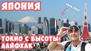 Токио с высоты птичьего полета: полезные лайфхаки и интересные места | Михаил Зейфман
