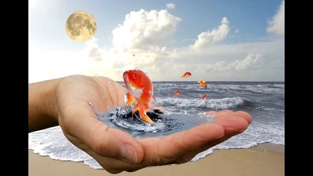 Как правильно сформулировать свое желание Вселенной смотреть онлайн