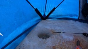 Енисее Рыбалка на Ельца Сорогу и Рипуса