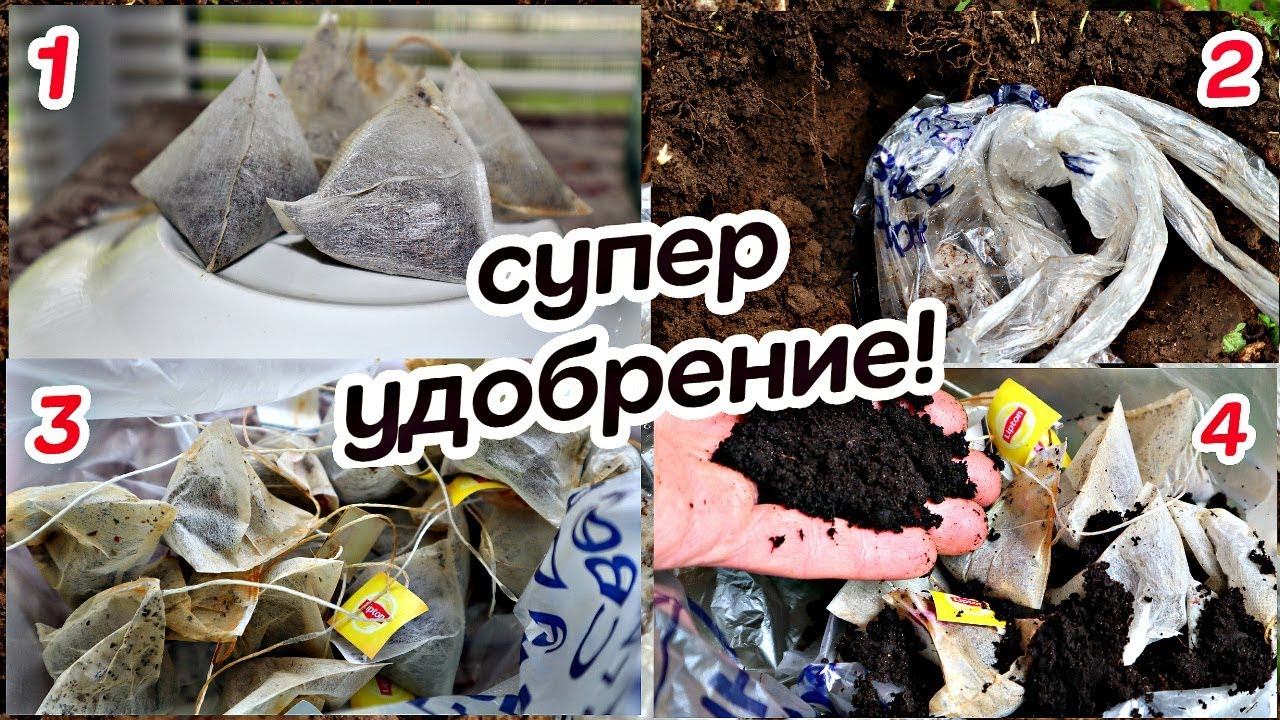 Чайный перегной лучшее удобрение в мире! Готовим чайный перегной летом для рассады на будущий год
