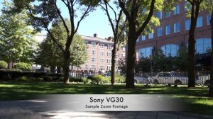Sony NEX-VG30 Review