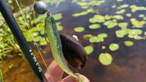 Онежское озеро. Кемпинг и рыбалка. 2021