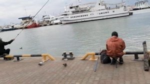 Рыбалка в морском порту Сочи