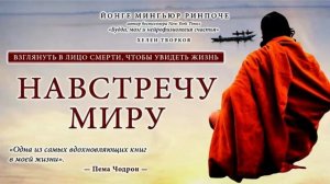Йонге Мингьюр Ринпоче, Навстречу миру 1