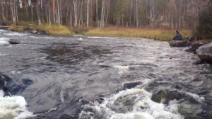 Выход реки в озеро Ориярви