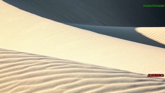 10 ПРАВИЛ РАЗВОДА В ИСЛАМЕ/ #призывмусульман