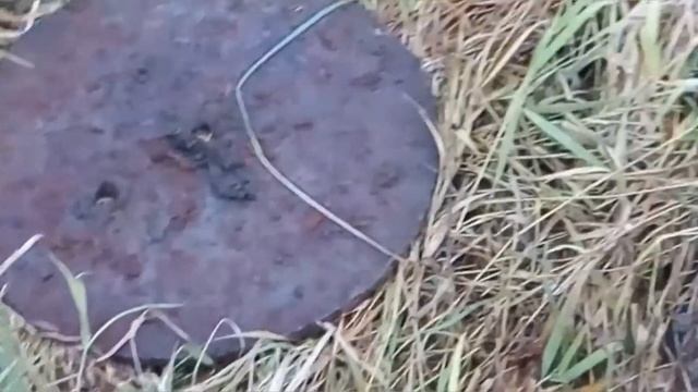 Карьеры удивляют!