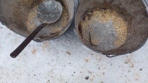 куры несут яйца как из пулемета,куда их девать?жизнь на даче