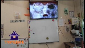 Мастер-класс "Кулеш"