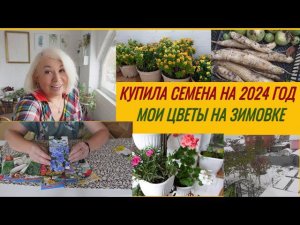 ВЛОГ/Собрала последний урожай/Купила семена на 2024 год/Мои цветы на зимовке@SubTatiana