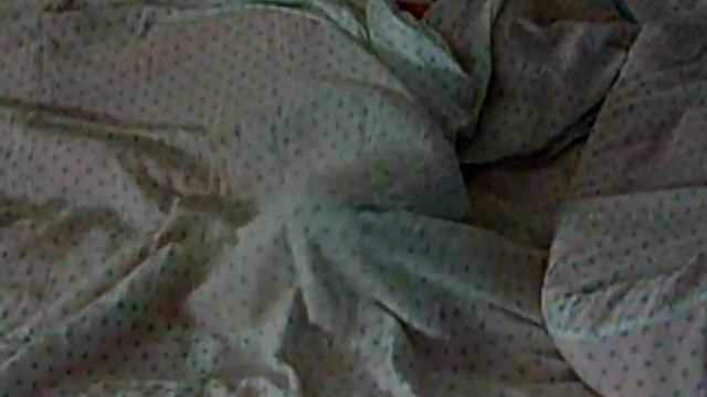 кот под одеялом смотреть онлайн