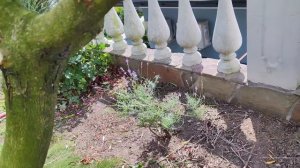 НОВЫЙ ПРОЕКТ!