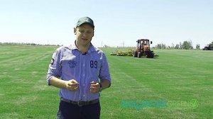 Этапы производства рулонного газона - производитель Sagama Green
