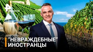 Шампань пошла на мировую: французские виноделы создают вино в Геленджике / Итоги с Петром Марченко