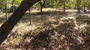 НАШ ГОРОД КАГУЛ