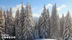 ❄❄❄ Wonderful Winter Scenes And Soothing Music for Relaxation ???