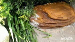 Покраска , садовый бордюр|Painting , garden curb