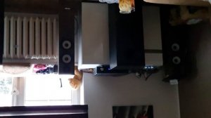 xindak a-06, cerwin vega xls12 vs pylon pearl 25