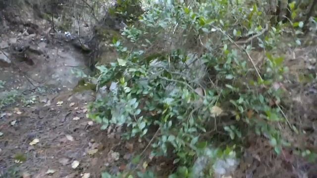 По Ликийской тропе бесплатно на гору Химеры. Турция 30.09.2018 step 148.1 смотреть онлайн