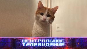 «Центральное телевидение». Выпуск от 27 января 2024 года