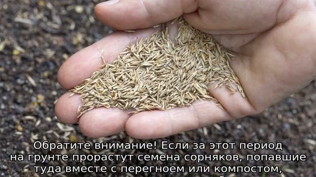 Как сеять газон своими руками смотреть онлайн