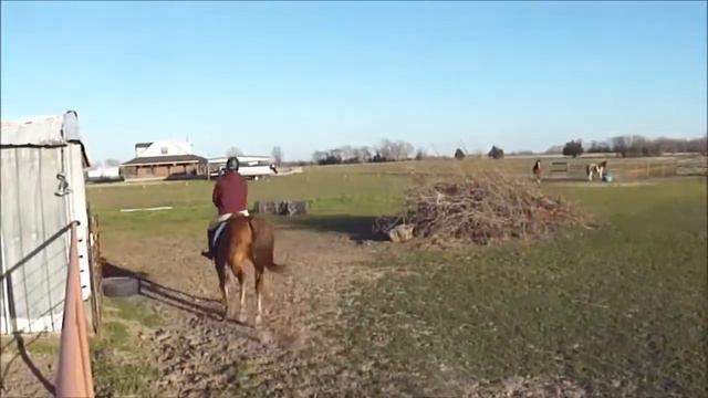 Freckles Croton Oil - jumping смотреть онлайн