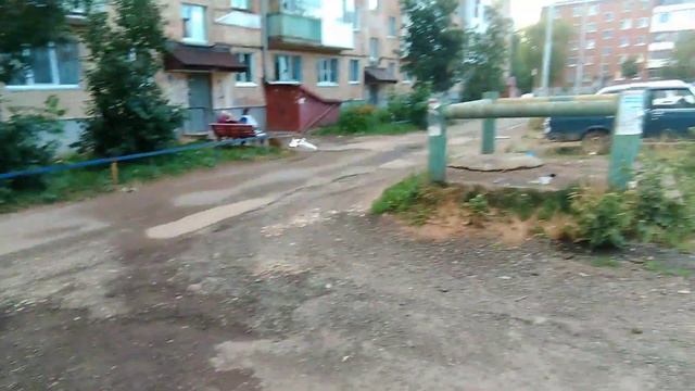 Чайки в городе! смотреть онлайн