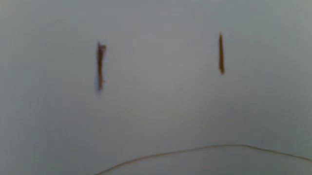 собака против человека! смотреть онлайн