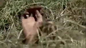 SUPERNATURAL  -А мы не Ангелы Парень