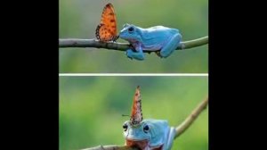 За окном Сентябрь,??? провода качает...До свиданье лето, до свидания....??? 31.08.2021г.??? Ждемс..